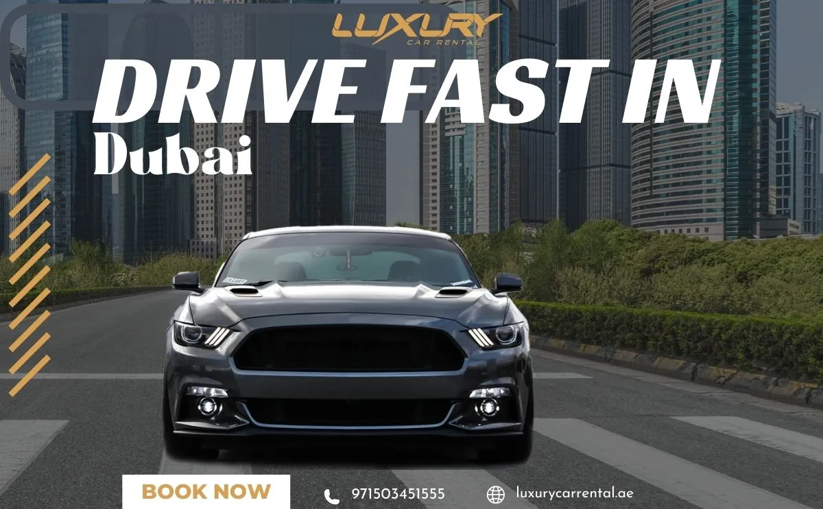 أين تقود سيارتك بسرعة في دبي (بشكل قانوني): مسارات وتجارب مع سيارات مستأجرة